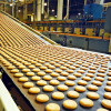 Food Processing Equipments